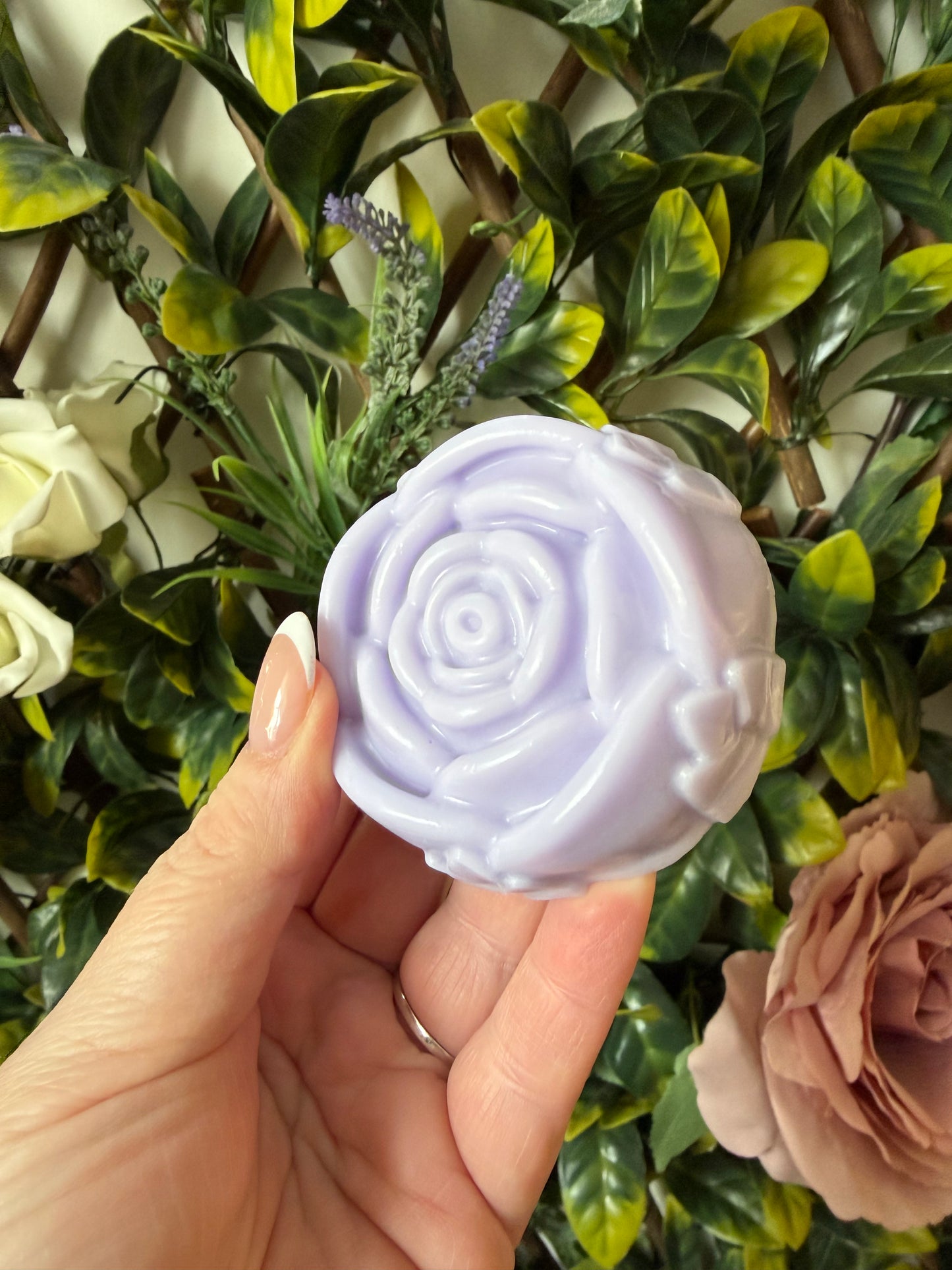 LOVELY LAVENDER ROSE