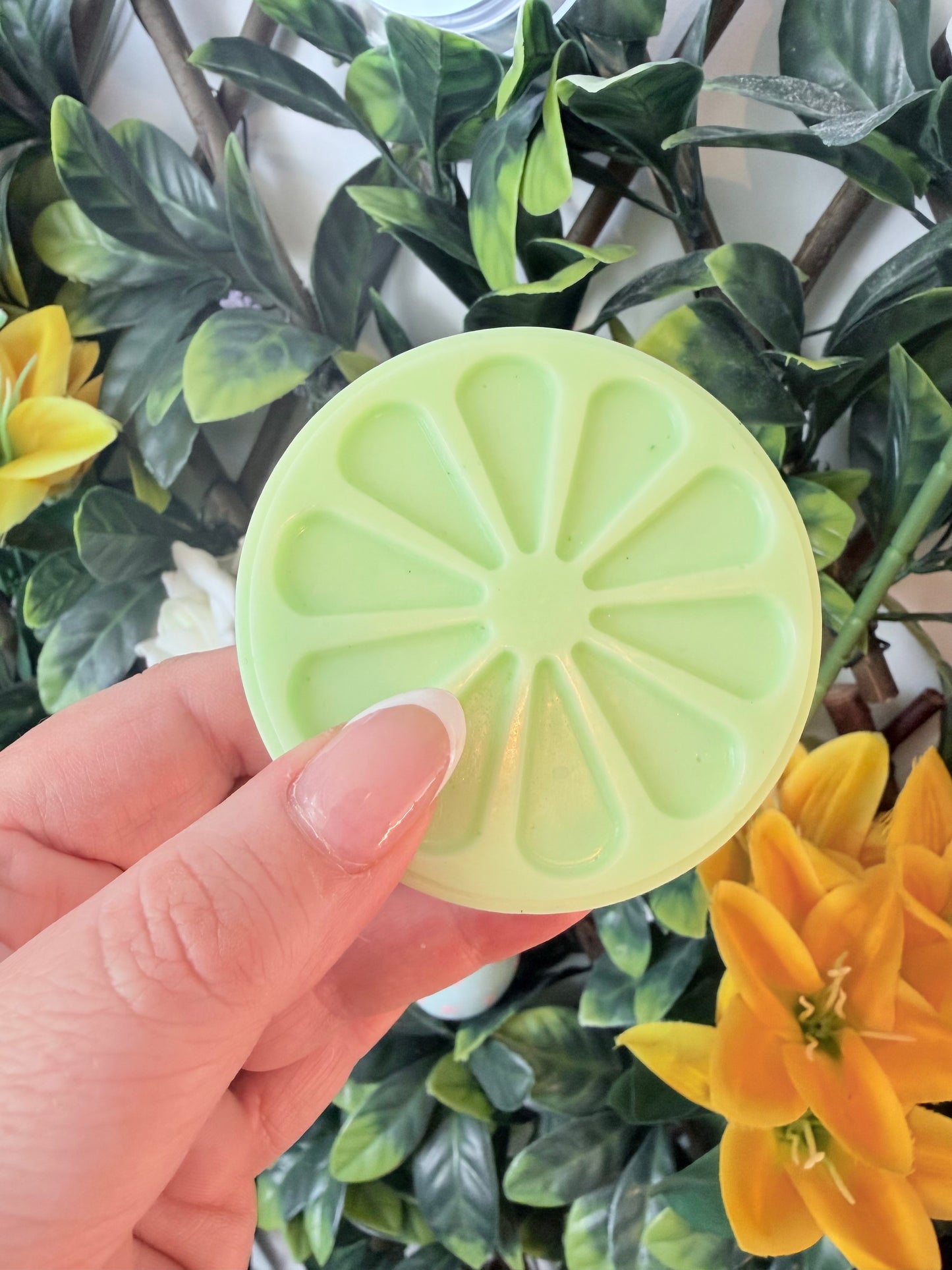 CITRUS SEGMENTS