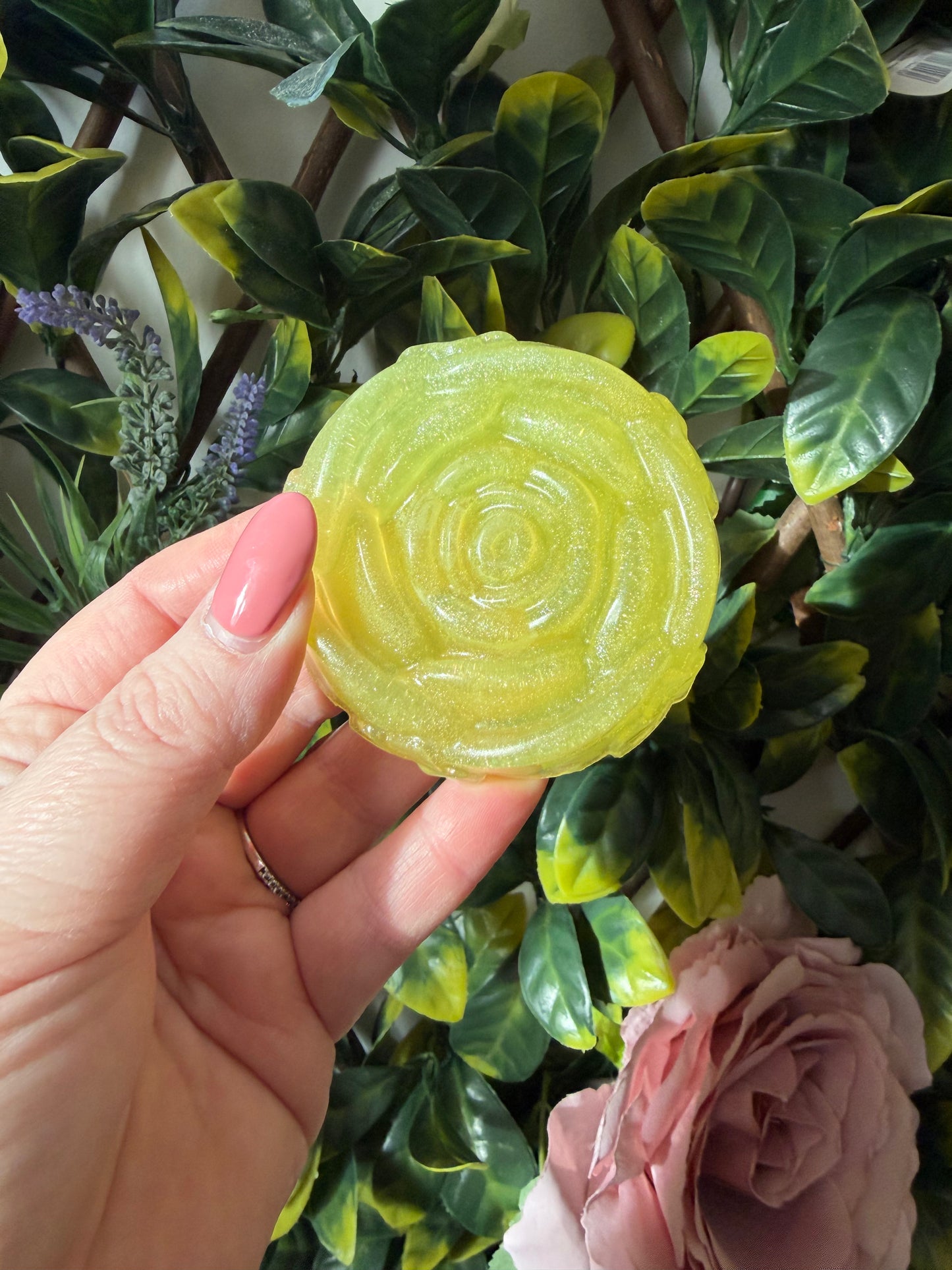 WILD YELLOW ROSE
