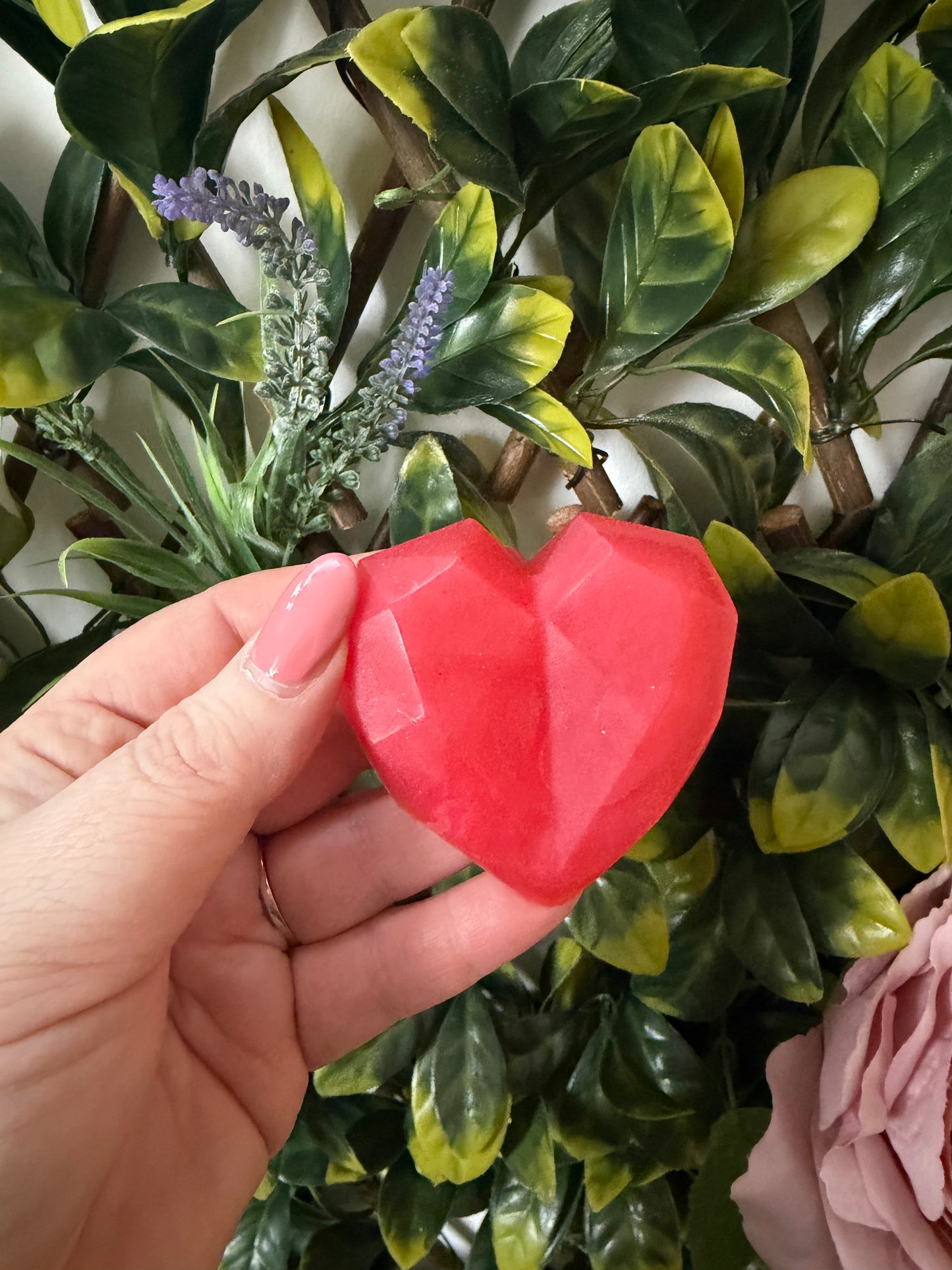 WILD RED HEART